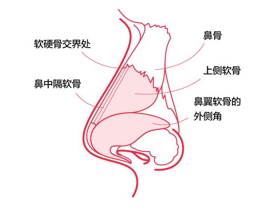 QQ截图20211125104354.jpg