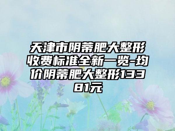 天津市阴蒂肥大整形收费标准全新一览-均价阴蒂肥大整形13381元