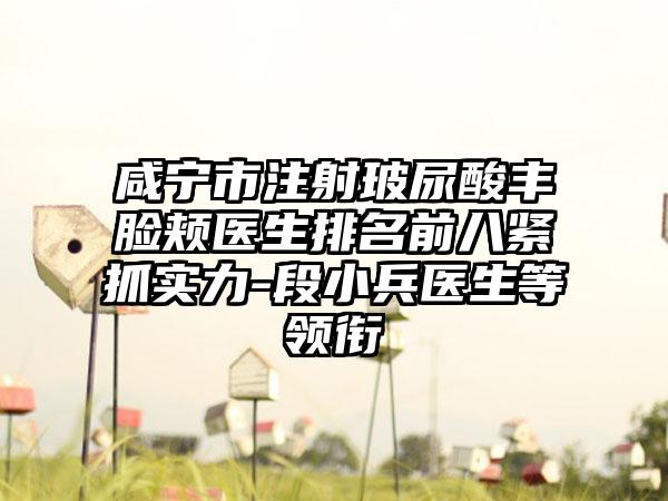 咸宁市注射玻尿酸丰脸颊医生排名前八紧抓实力-段小兵医生等领衔