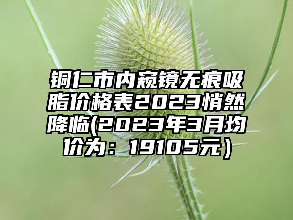 铜仁市内窥镜无痕吸脂价格表2023悄然降临(2023年3月均价为：19105元）