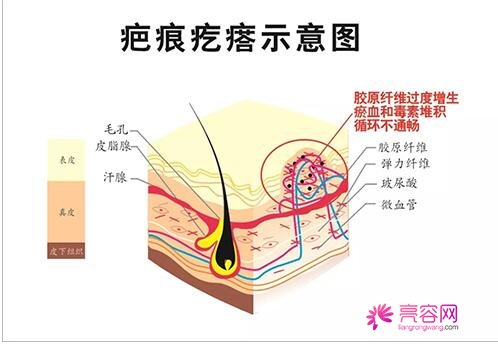 天津市第四医院整形美容科怎么样？内附医院简介及医生信息