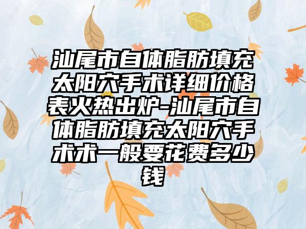 汕尾市自体脂肪填充太阳穴手术详细价格表火热出炉-汕尾市自体脂肪填充太阳穴手术术一般要花费多少钱