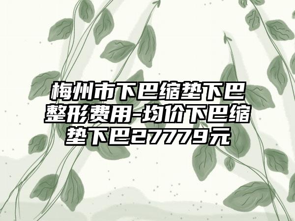 梅州市下巴缩垫下巴整形费用-均价下巴缩垫下巴27779元