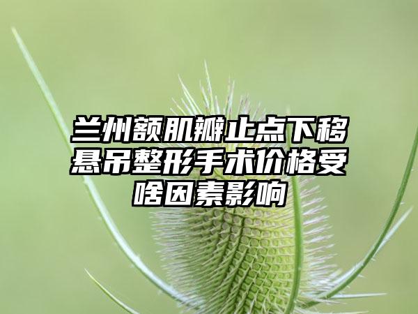 兰州额肌瓣止点下移悬吊整形手术价格受啥因素影响