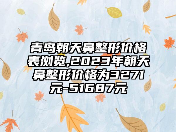 青岛朝天鼻整形价格表浏览,2023年朝天鼻整形价格为3271元-51687元