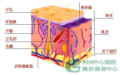 宜昌哪里治疗腋臭*好？