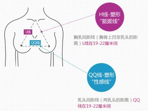 QQ线-完美乳房评测方法