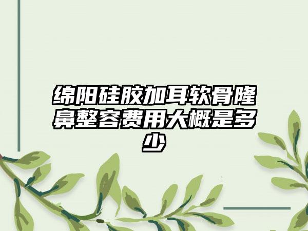 绵阳硅胶加耳软骨隆鼻整容费用大概是多少