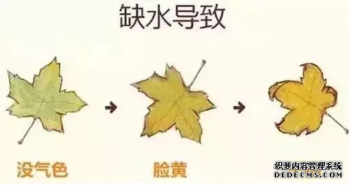 水光针—这4种人千万别打 第3张