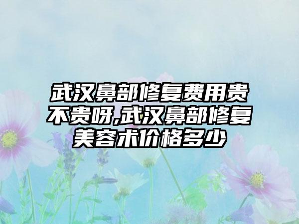 武汉鼻部修复费用贵不贵呀,武汉鼻部修复美容术价格多少