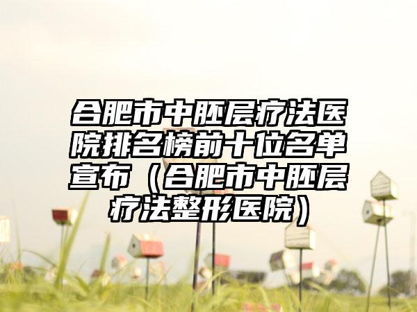 合肥市中胚层疗法医院排名榜前十位名单宣布（合肥市中胚层疗法整形医院）